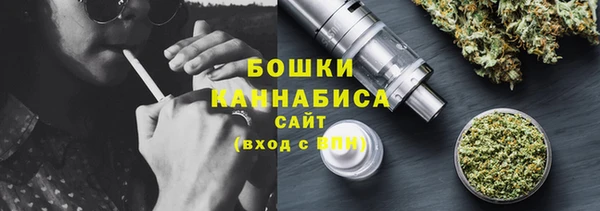 ПСИЛОЦИБИНОВЫЕ ГРИБЫ Балахна