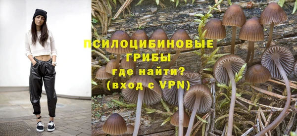 ПСИЛОЦИБИНОВЫЕ ГРИБЫ Балахна