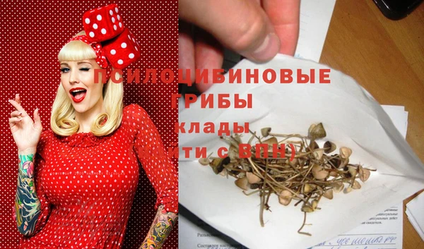 ПСИЛОЦИБИНОВЫЕ ГРИБЫ Балахна