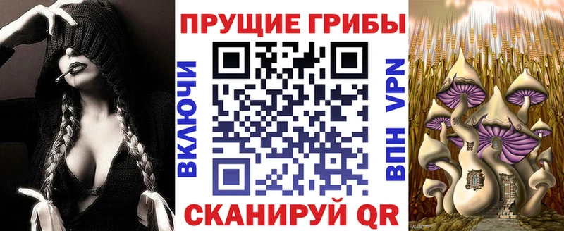 где купить наркотик  Семёнов  Галлюциногенные грибы прущие грибы 